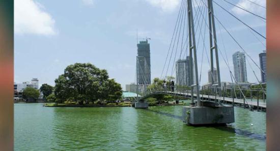 කොළඹ බේරේ වැවේ අපද්‍රව්‍ය ඉවත් කිරීමේ වැඩසටහන අද